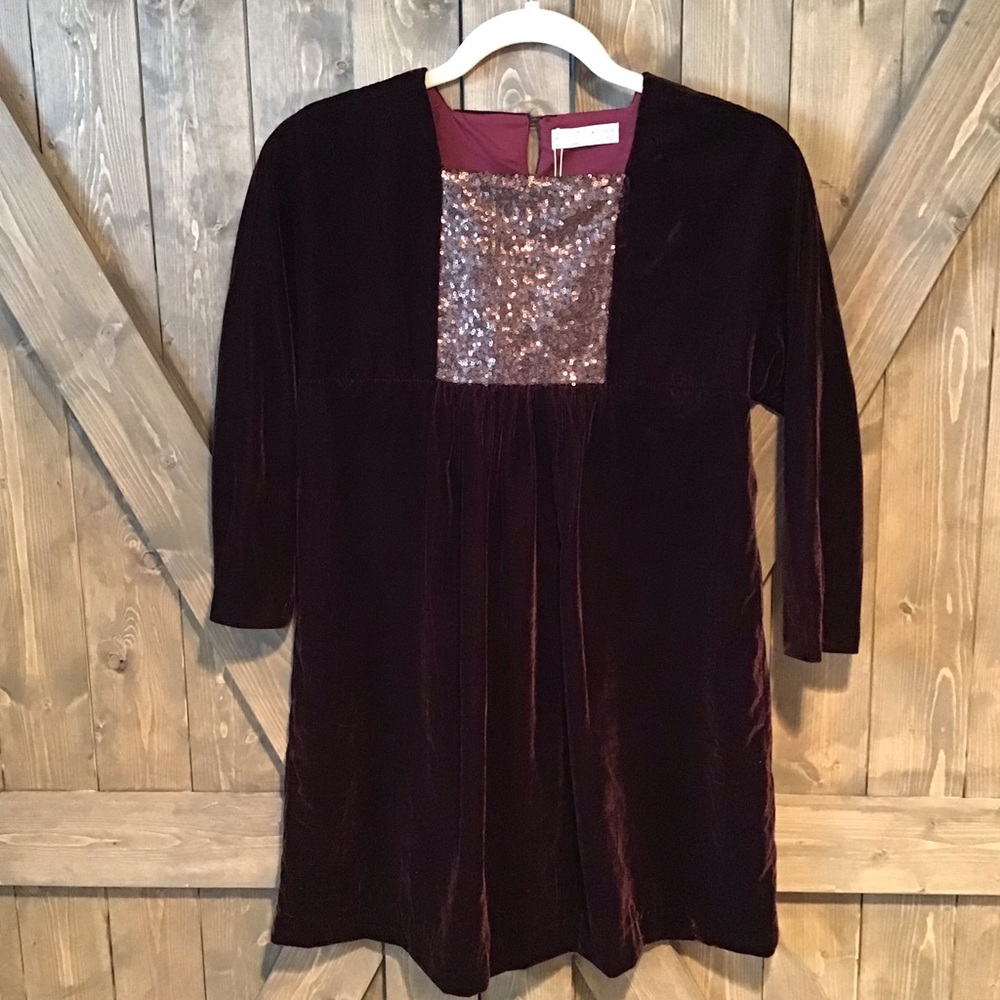 Zara Girls Velvet Sequin Holiday Dress